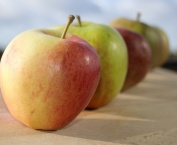 Äpfel